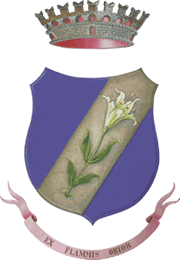 Comune di San Giuseppe Vesuviano